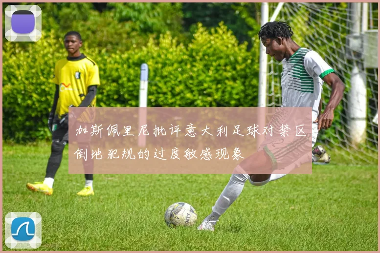加斯佩里尼批评意大利足球对禁区倒地犯规的过度敏感现象