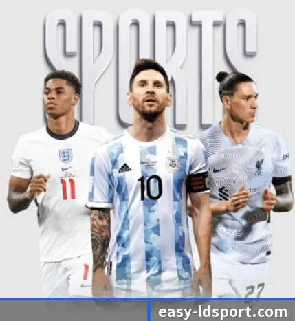 乐动体育 APP | LDSPORTS