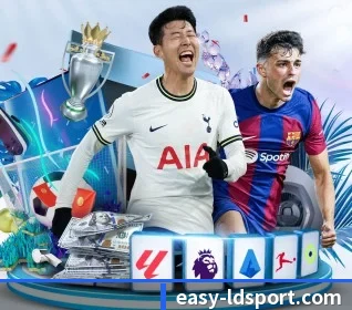 乐动体育 APP 界面 - LDSPORTS